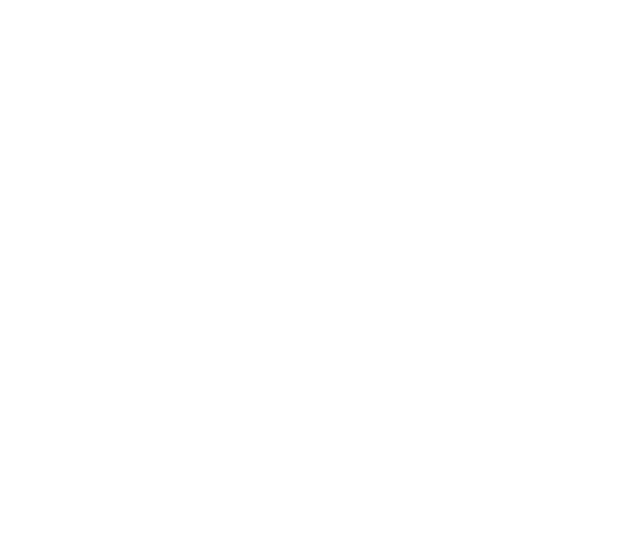 Les Pépites Tech